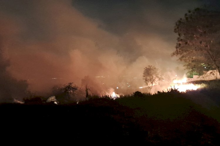 Dana Penanganan Karhutla Rp1,2 Triliun, Penyedia Proyek Diminta Diawasi