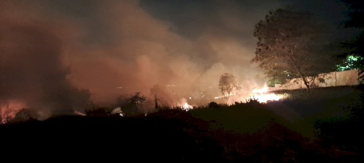 Dana Penanganan Karhutla Rp1,2 Triliun, Penyedia Proyek Diminta Diawasi