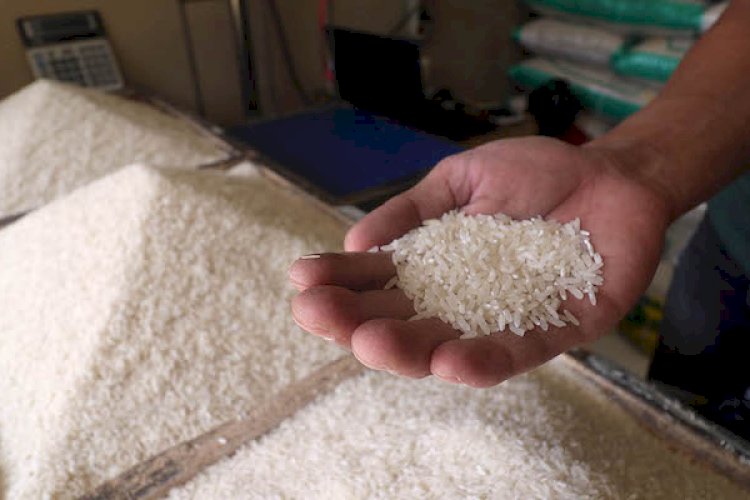 Harga Beras di Lampung Selatan Naik 5,70 Persen, Tertinggi Kedua Nasional