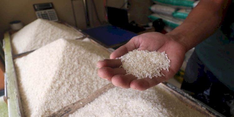Harga Beras di Lampung Selatan Naik 5,70 Persen, Tertinggi Kedua Nasional