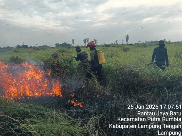 Taman Nasional Way Kambas Terbakar, Diduga Ada Unsur Kesengajaan