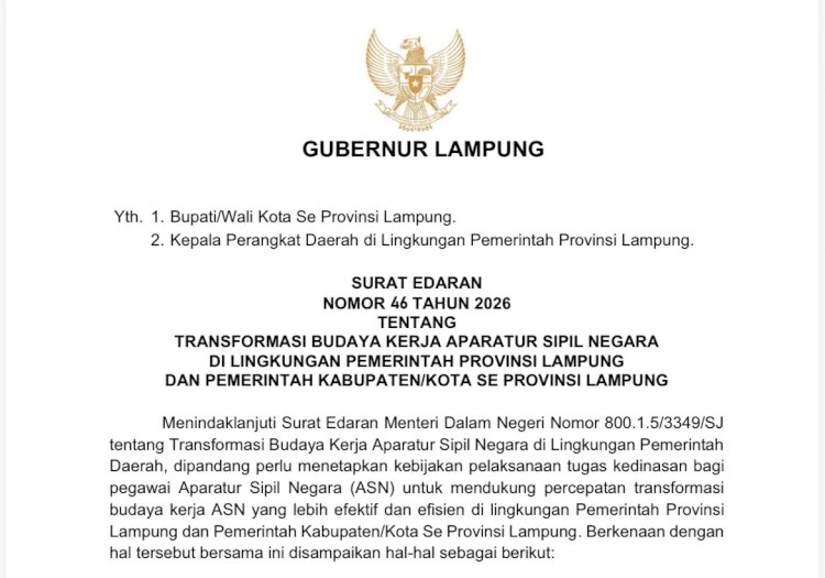 WFH ASN Berlaku Setiap Jumat, Ini Aturan Baru Pemprov Lampung