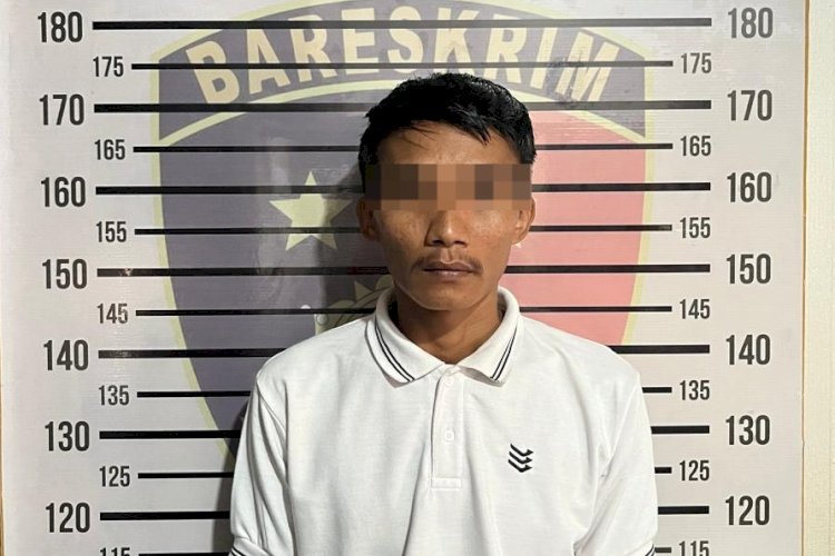6 Tahun Bekerja, Sopir di Pringsewu Gelapkan Setoran Ayam buat Judi Online