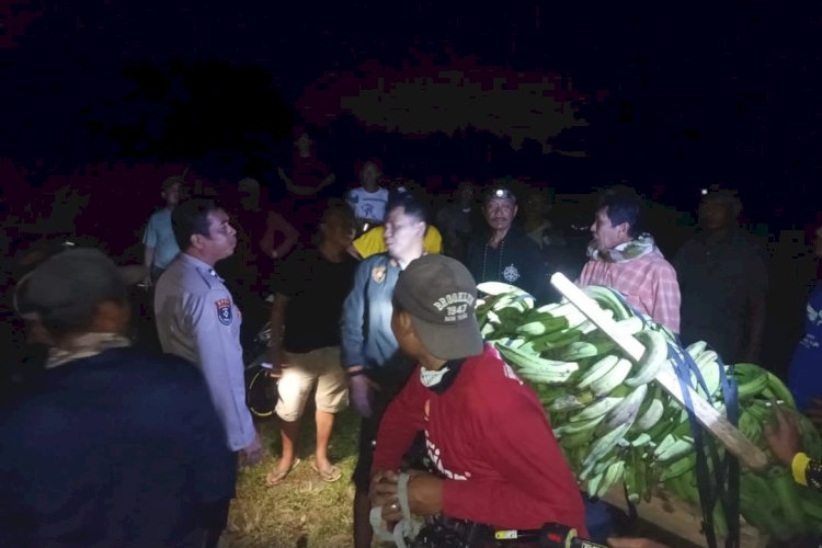 Terduga Pencuri 11 Tandan Pisang Nyaris Dimassa, Polisi Turun Tangan