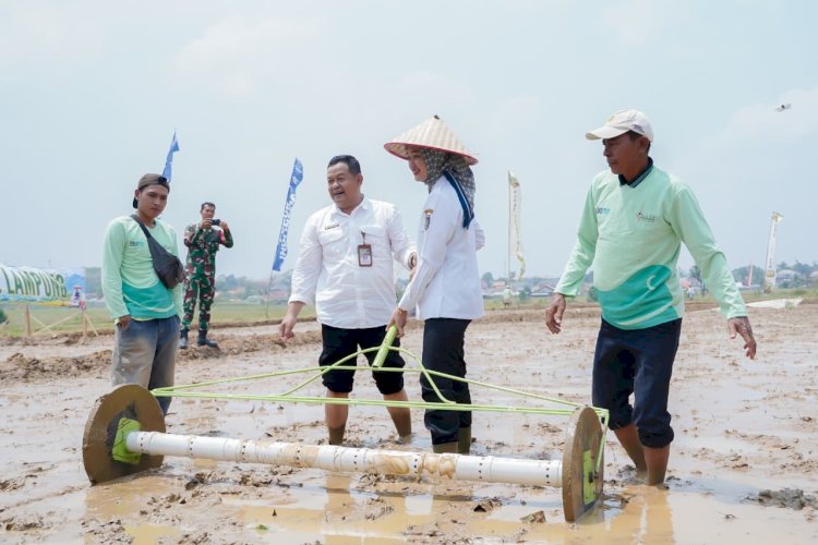 Produktivitas PM-AAS Tembus 11,2 Ton per Hektare, Lampung Dapat Alokasi 35.100 Hektare