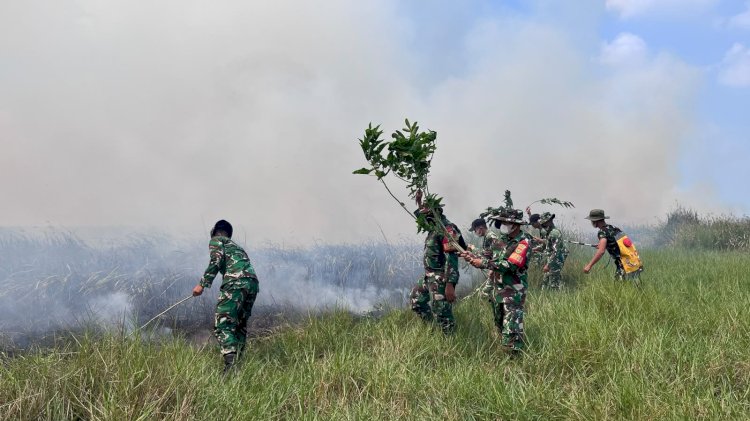 Komite Gajah TNWK Turun Tangan Atasi Karhutla, Siapkan 10 Sumur Bor