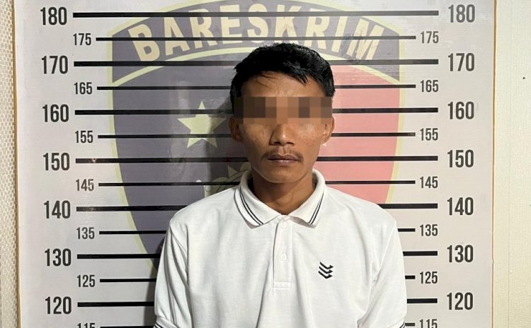 6 Tahun Bekerja, Sopir di Pringsewu Gelapkan Setoran Ayam buat Judi Online