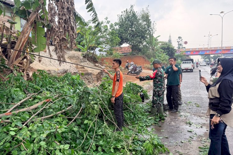 Pohon Tumbang di Soekarno-Hatta, Dua Pengendara Terluka