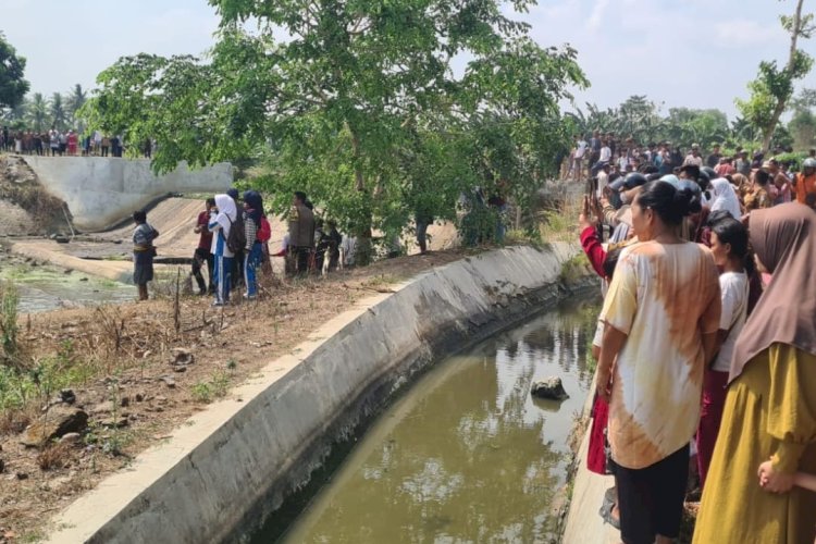Tiga Pelajar SD Tewas Tenggelam di Bendungan Pringsewu