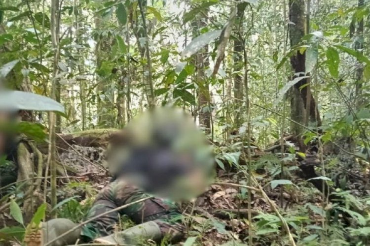 Tiga Anggota OPM Tertembak di Maybrat, TNI Buka Peluang Jalan Damai