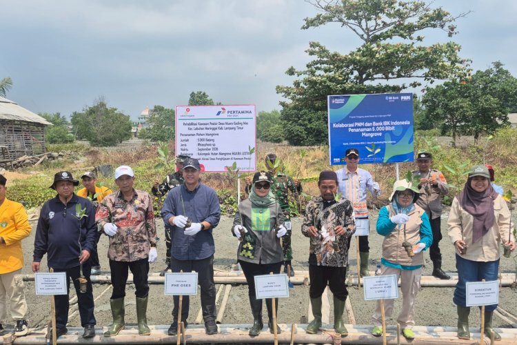 Atasi Ancaman Abrasi, Pemkab Lampung Timur dan PHE OSES Kembangkan Demplot Mangrove