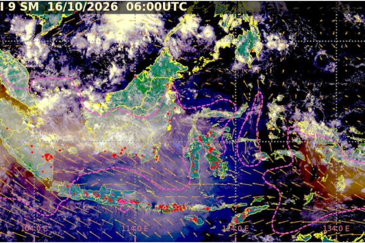 Asap Karhutla Lintasi Pesisir Lampung, BMKG Ungkap Arah Pergerakannya