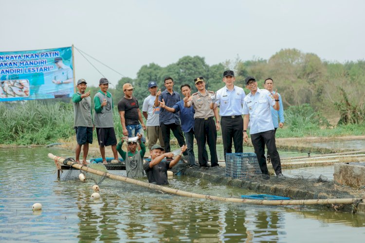Berawal dari Kolam 52 Meter Persegi, Pokdakan di Jati Agung Produksi 88 Ton Patin