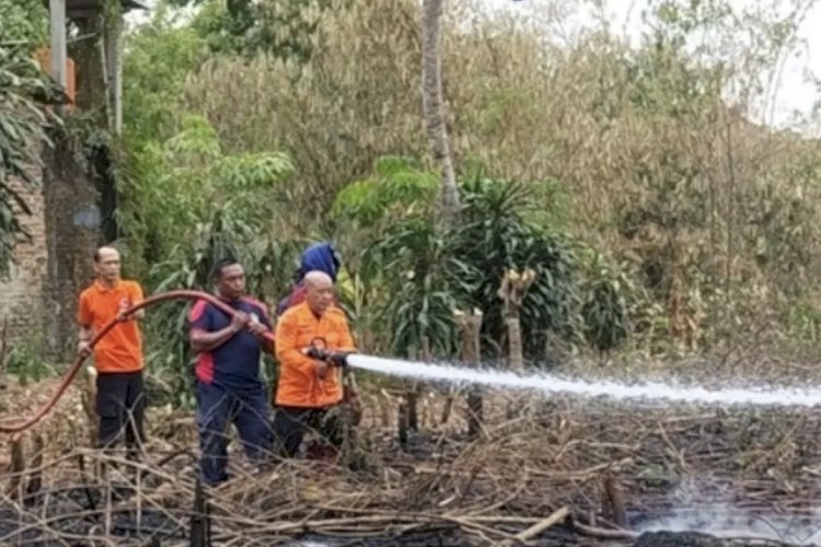Karhutla Landa Sri Basuki Lampung Utara, Petugas Lakukan Pemadaman