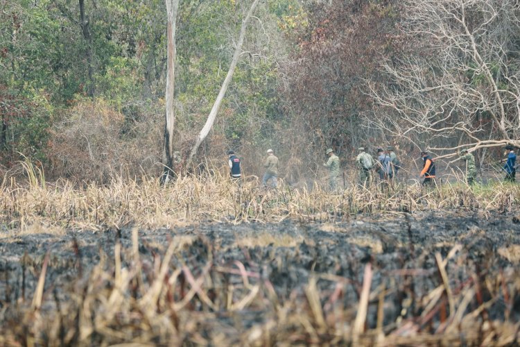 Kepala BNPB Ungkap 110 Titik Api di Lampung, 68 Hektare Lahan Belum Padam