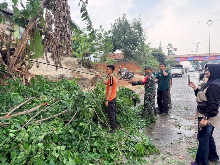 Pohon Tumbang di Soekarno-Hatta, Dua Pengendara Terluka