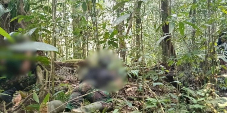 Tiga Anggota OPM Tertembak di Maybrat, TNI Buka Peluang Jalan Damai