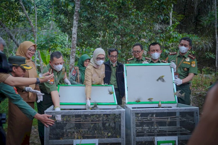 Cegah Karhutla dan Perambahan, Wagub Jihan Instruksikan Penguatan Pengawasan Hutan