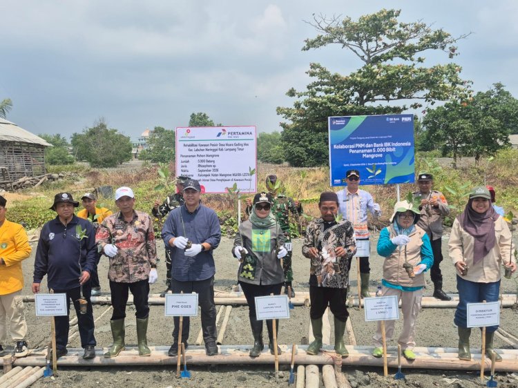 Atasi Ancaman Abrasi, Pemkab Lampung Timur dan PHE OSES Kembangkan Demplot Mangrove