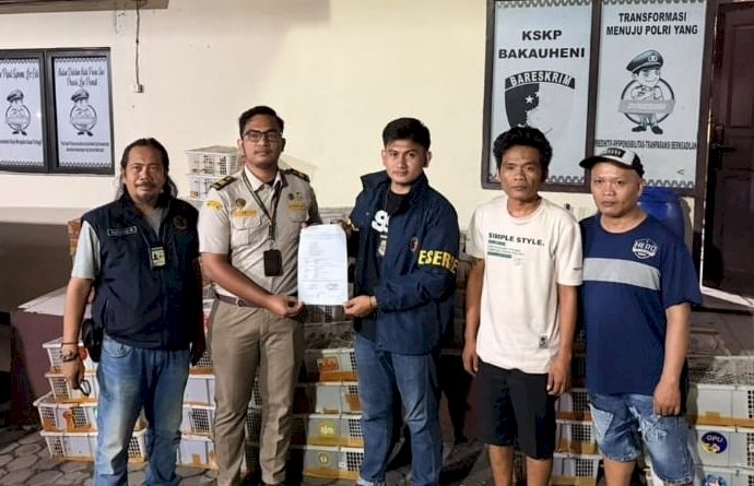 Diduga Hendak Diselundupkan ke Jawa, 832 Ekor Burung Diamankan di Bakauheni