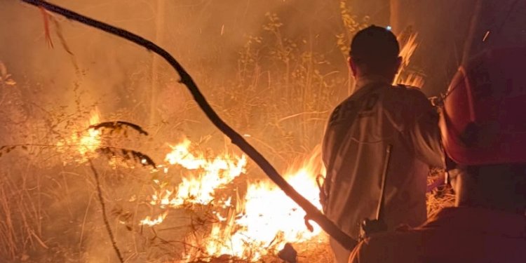 Bareskrim Jerat 9 Korporasi dan 223 Orang dalam Kasus Karhutla