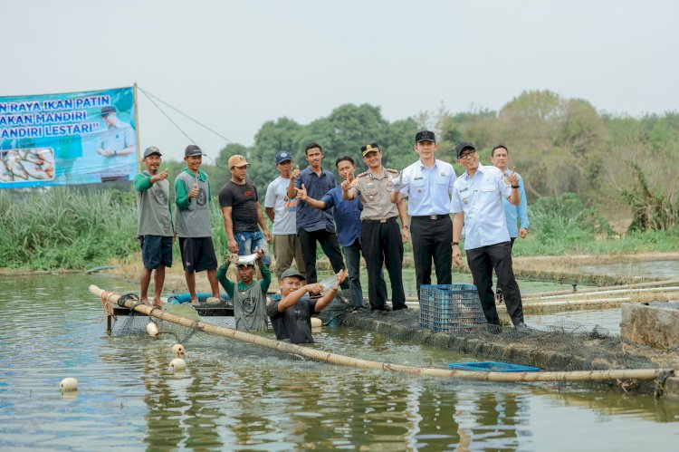Berawal dari Kolam 52 Meter Persegi, Pokdakan di Jati Agung Produksi 88 Ton Patin