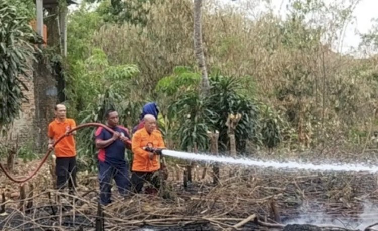 Karhutla Landa Sri Basuki Lampung Utara, Petugas Lakukan Pemadaman